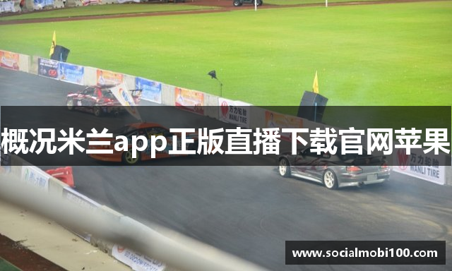 概况米兰app正版直播下载官网苹果